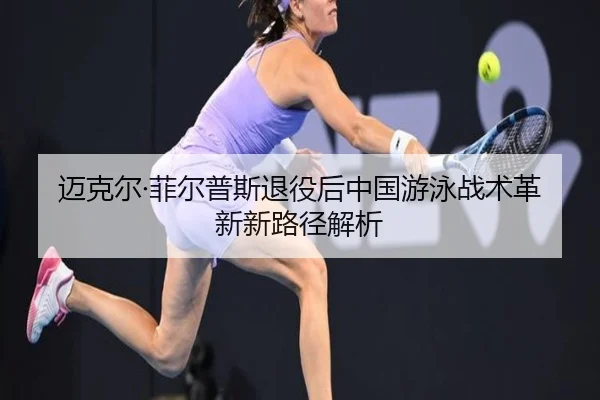 mai-ke-er-fei-er-pu-si-tui-yi-hou-zhong-guo-you-yong-zhan-shu-ge-xin-xin-lu-jing-jie-xi-2-229.jpg