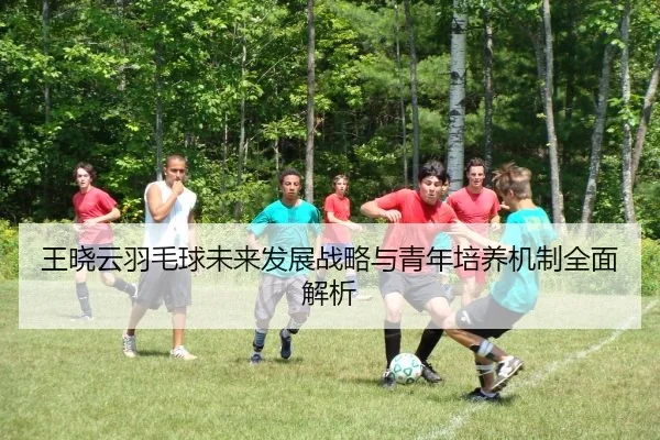 王晓云羽毛球未来发展战略与青年培养机制全面解析