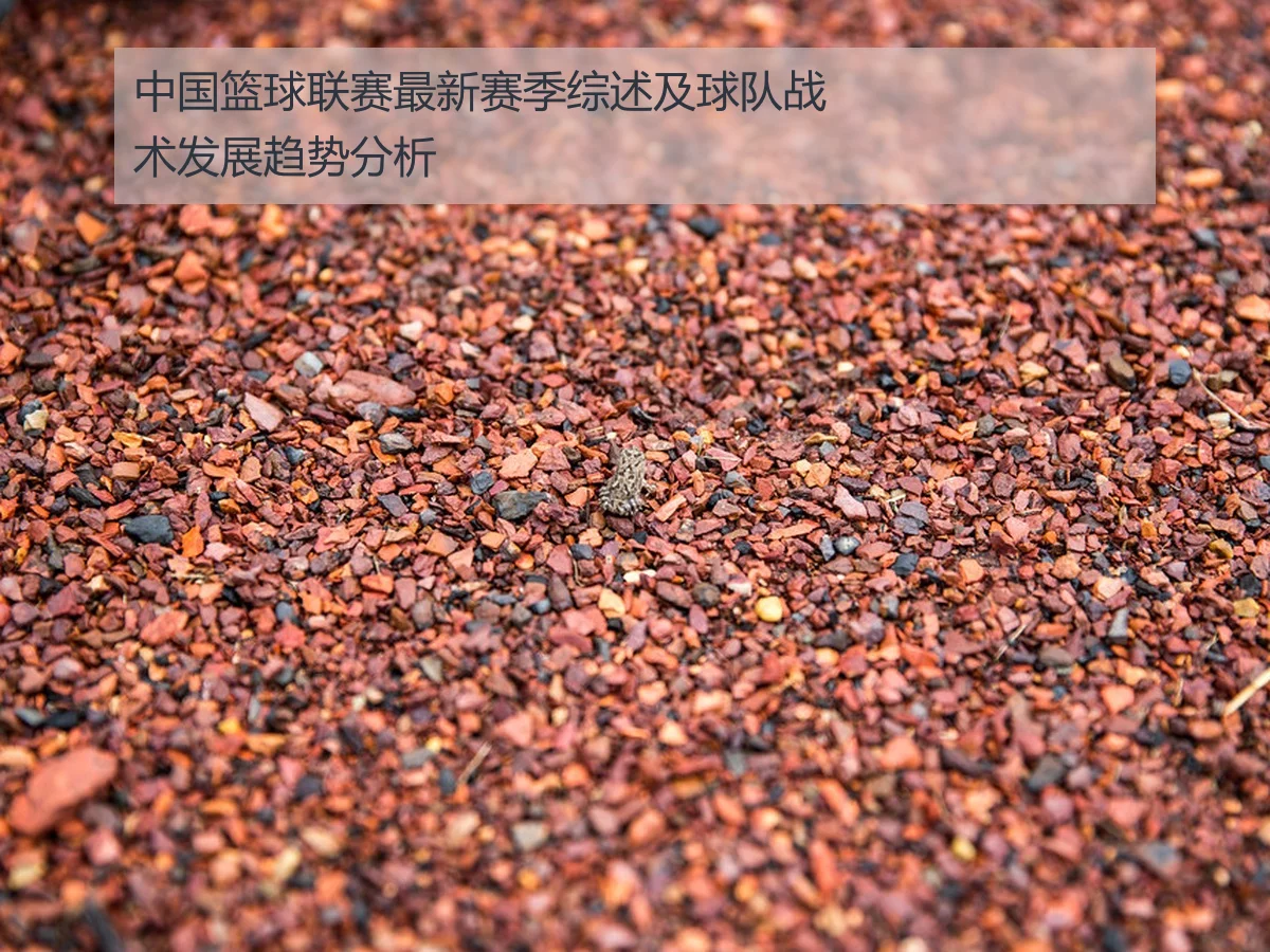 中国篮球联赛最新赛季综述及球队战术发展趋势分析